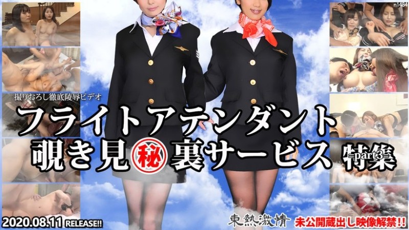 Tokyo-Hot-n1484 – TOKYO HOT Passionate Flight Attendant Peeping Secret Service Special Part 3